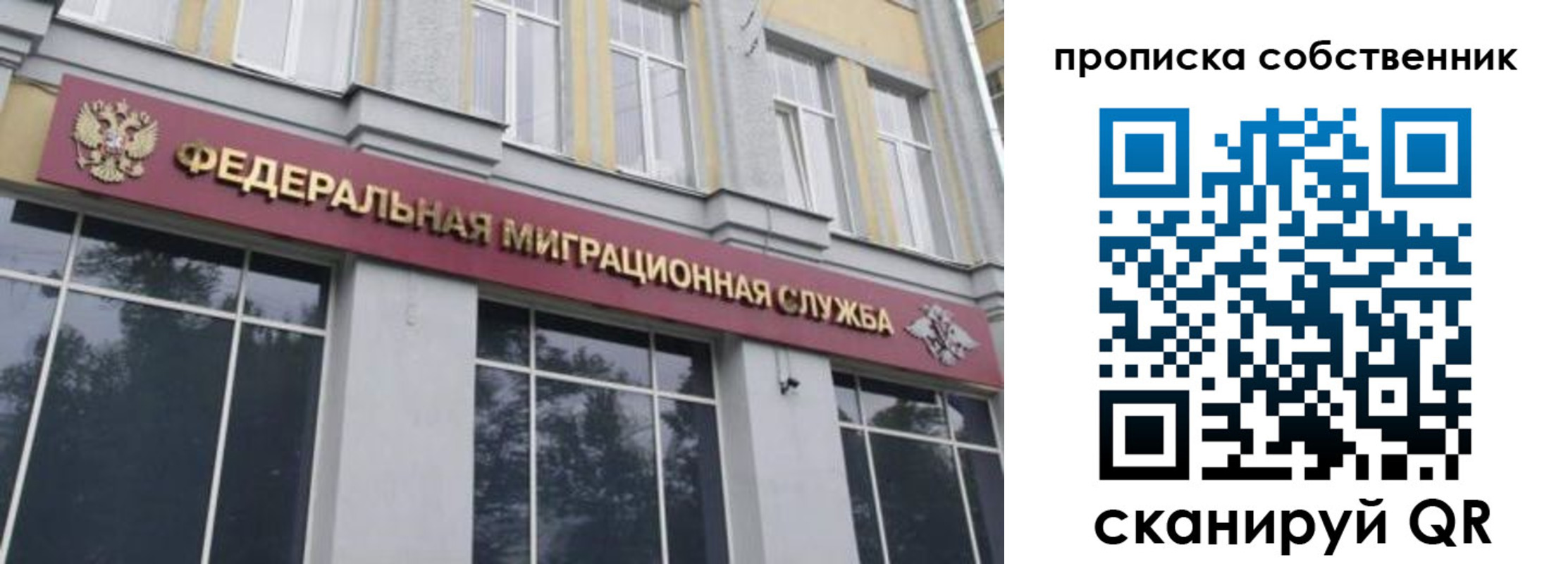 прописка паспорт в Алексеевке